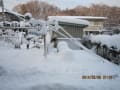 大雪１９３６年以来の大雪のわが家