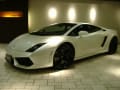 2009MODEL Lamorghini Gallardo LP560-4 e-gear Bianca