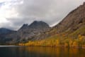 Fall Color in Sierra Nevada