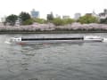 大阪大川の桜(25年4月4日)