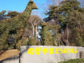 野毛山動物園