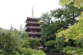 テストブログは、小雨の本土寺へ