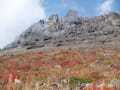 秋の茶臼岳登山