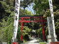 来宮神社・樹齢２０００年の楠