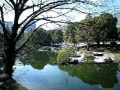 日比谷公園×日比谷図書文化館