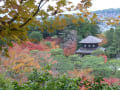 [15]紅葉の合間から見える銀閣寺