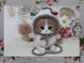 Miy~*まる猫ちゃん♪