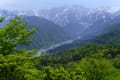 剱岳の大展望～新緑の千石城山へ