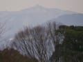 南公園スケッチ写真　2018/01/14　撮影