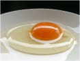 [44]egg.jpg