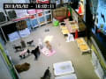 令和元年５月２日　お泊まり犬ライブ画像　１６:００頃