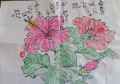 最近の絵手紙集　２０１５～２０１６