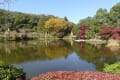 秋の里山２０２２　～町田市薬師池公園の紅葉と秋桜～