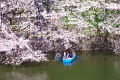 [22]東京、千鳥ヶ淵の桜