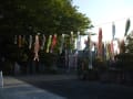 [1]20130428白旗神社.JPG