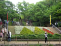 [12]yomiya140608_5014.jpg