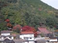 仲良しトリオで2012蒜山・大山・鳥取花回廊紅葉巡り