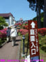 箱根「山のホテル」つつじ園見学