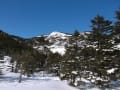 雪の八ヶ岳　北横岳（２）