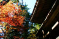 石山寺の紅葉