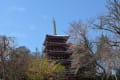 本土寺　東漸寺