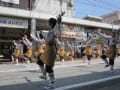 よさこい2011夏　本場高知のよさこい祭り☆