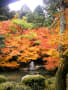 京都紅葉2009