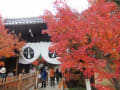 西山浄土宗　総本山　光明寺