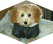 あの頃チャンネル(2010年01月17日～2010年01月23日)