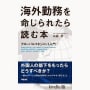 海外勤務実践のための構想書、実践書