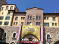 2019 TDS Disney's EASTER うさピヨ・イースターパーク