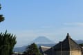 朝の散歩（富士山、駿河湾、花）