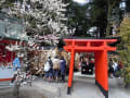 京都　二条城と北野天満宮