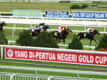 ＰＥＮＡＮＧ　ＴＵＲＦ　ＣＬＵＢ