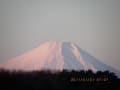 東村山からの富士山