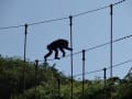 多摩動物公園2013.5.4.