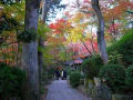 三瀧寺の紅葉（２０１１年１１月２７日撮影）