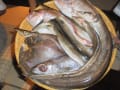 淡路島の魚料理のお店