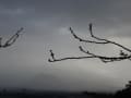 バス停までの自然の景色を眺め・・・あれ、野鳥が～