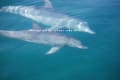 能登島　海とオルゴール