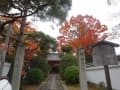 鷹ヶ峰（源光庵～光悦寺～しょうざん庭園）