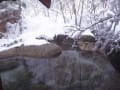かつら木の郷の雪見風呂
