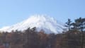 晩秋の富士山観光（山中湖～忍野八海～カチカチ山～河口湖～緑の休暇村）2016/11/9-10