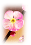 [11]梅の花.png