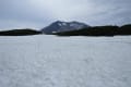 ☆ 今週の大雪山国立公園・旭岳情報 ☆