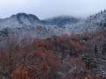 雪の金山峠