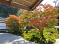 長寿寺と紅葉