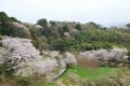 花見　IN　卯辰山公園