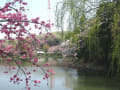 県立三ッ池公園