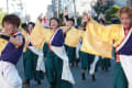 おどりんちゅ　坂戸よさこい　東第二会場の2